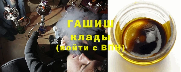 индика Горнозаводск