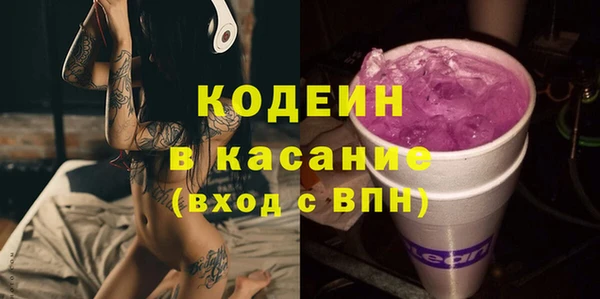 индика Горнозаводск