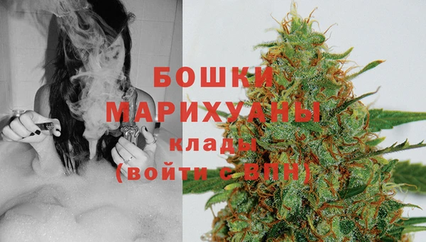мдпв Горняк