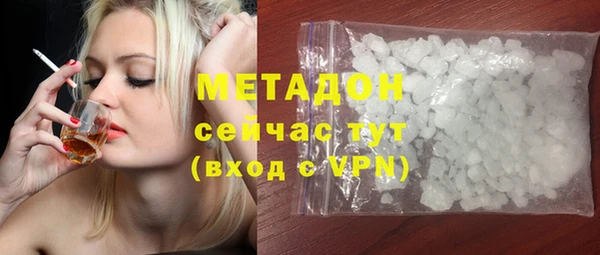индика Горнозаводск
