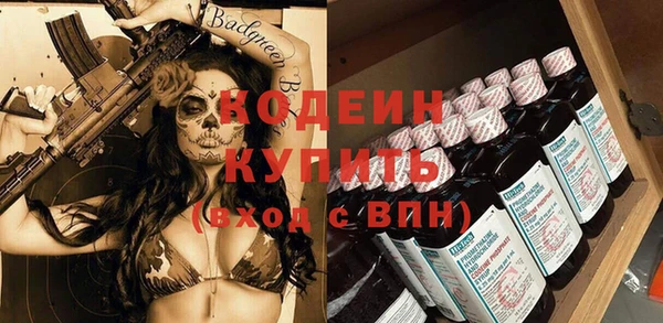 индика Горнозаводск
