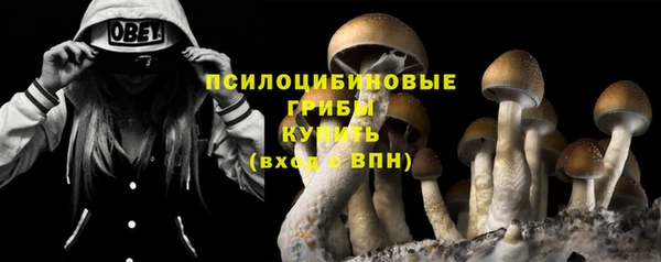 тгк Вязники