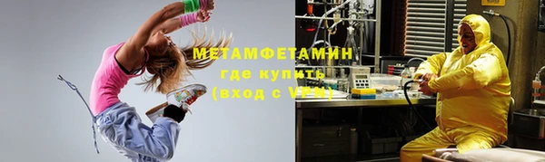 индика Горнозаводск
