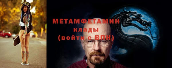 индика Горнозаводск