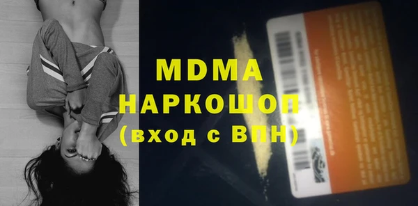 индика Горнозаводск