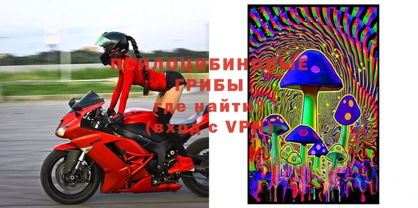 индика Горнозаводск