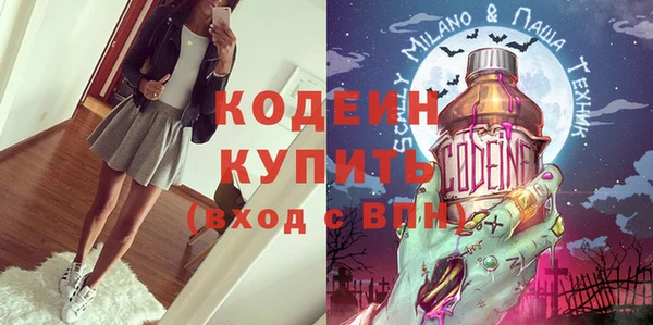 индика Горнозаводск