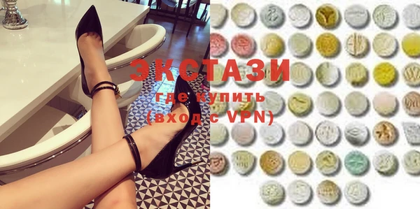 индика Горнозаводск