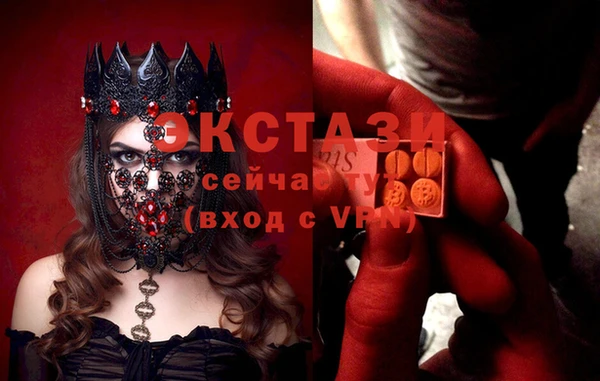 индика Горнозаводск