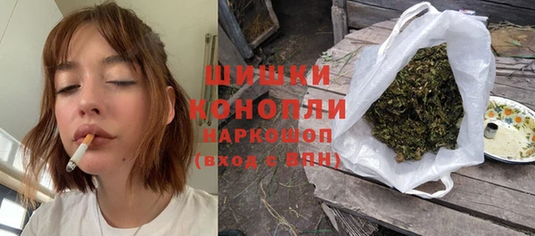 индика Горнозаводск