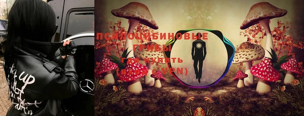 мдпв Горняк