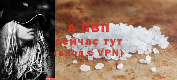 индика Горнозаводск